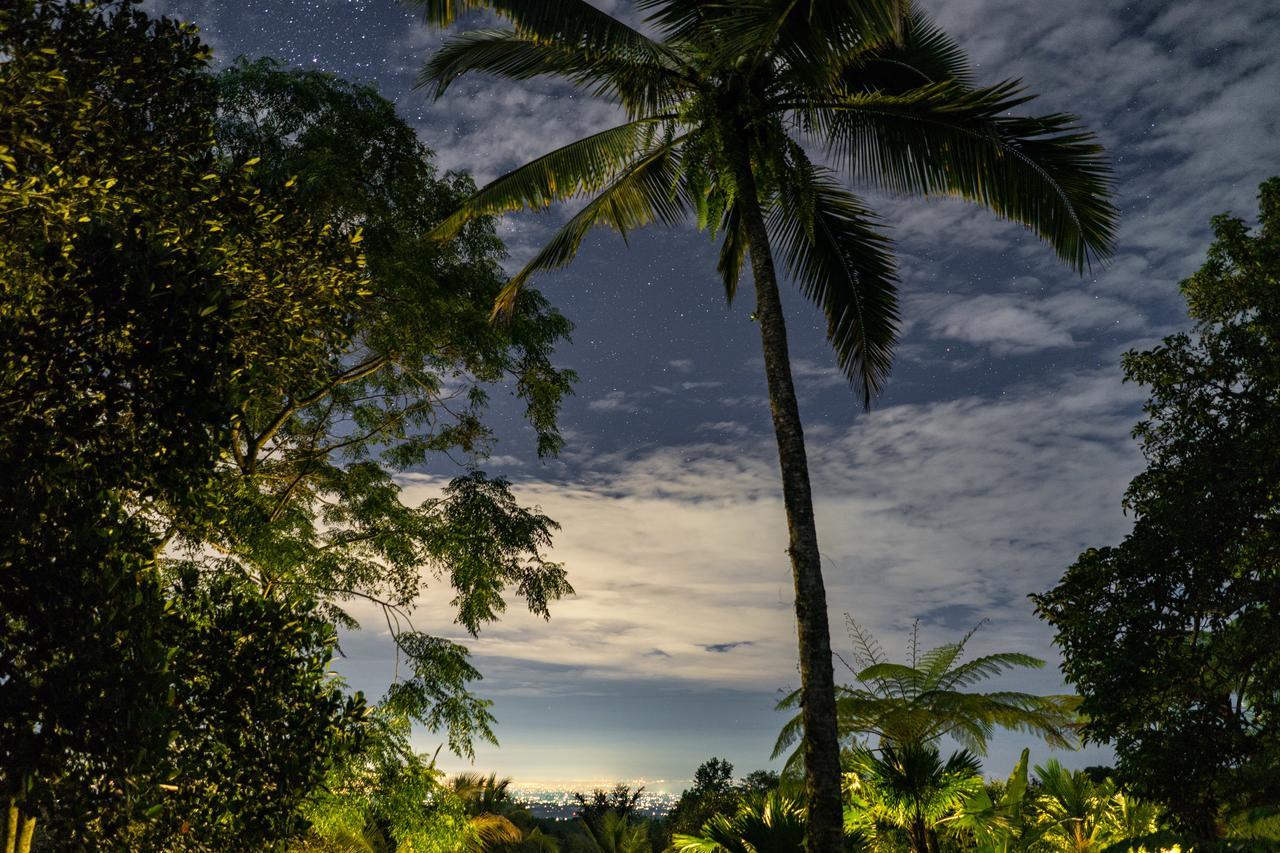 Alassari Plantation Hotel Selemadeg  Bagian luar foto